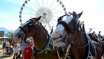 INDIO, CA - APRIL 26: Budweiser Clydesdales attend day three of 2015 Stagecoach, California's Country Music Festival, at The Empire Polo Club on April 26, 2015 in Indio, California. (Photo by Matt Cowan/Getty Images for Stagecoach)