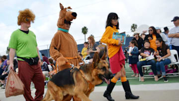LONG BEACH, CALIFORNIA - OCTOBER 27: Participants are seen in Scooby-Doo costumes at the Haute Dog Howl'oween Parade at Marina Vista Park on October 27, 2019 in Long Beach, California. (Photo by Chelsea Guglielmino/Getty Images)