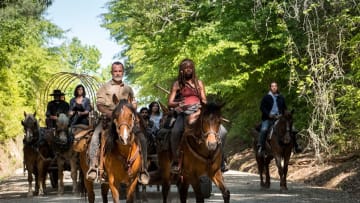 Seth Gilliam, Pollyanna McIntosh, Andrew Lincoln, Danai Gurira, Lauren Cohan, Avi Nash, Alanna Masterson. on The Walking Dead.Photo by Jackson Lee Davis/AMC