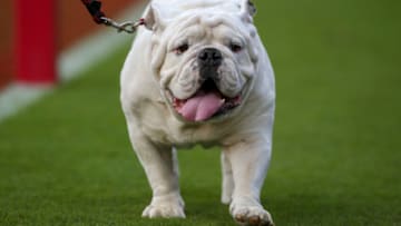 ATHENS, GA - SEPTEMBER 11: Mascot Uga of the Georgia Bulldogs on the field against the UAB Blazers in the second half at Sanford Stadium on September 11, 2021 in Athens, Georgia. (Photo by Brett Davis/Getty Images)