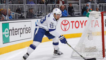 (Photo by Rocky W. Widner/NHL/Getty Images)