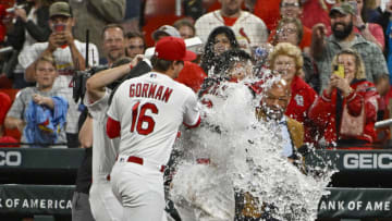 STL Cardinals (Mandatory Credit: Jeff Curry-USA TODAY Sports)