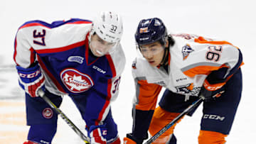WINDSOR, ON - DECEMBER 31: Forward Kole Sherwood