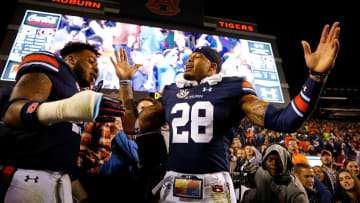 AUBURN, AL - NOVEMBER 11: Darrell Williams