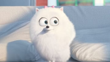 Photo Credit: The Secret Life of Pets/Universal & Illumination Entertainment Image Acquired from Universal Pictures