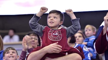 Apr 9, 2016; Denver, CO, USA; Colorado Avalanche fans celbrate a goal by defenseman Zach Redmond (22) (not pictured) in the third period against the Anaheim Ducks at Pepsi Center. The Ducks defeated the Avalanche 5-3. Mandatory Credit: Ron Chenoy-USA TODAY Sports