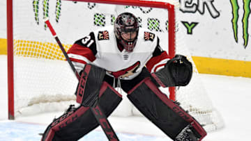 ANAHEIM, CA - DECEMBER 29: Arizona Coyotes goalie Adin Hill (31) in action during the first period of a game against the Anaheim Ducks played on December 29, 2018 at the Honda Center in Anaheim, CA. (Photo by John Cordes/Icon Sportswire via Getty Images)