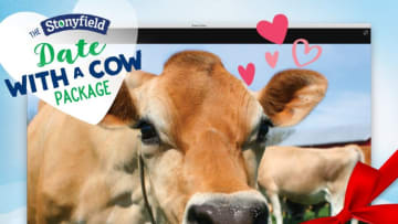 Stonyfield's Date with a Cow Valentine's Day promo, courtesy Stonyfield