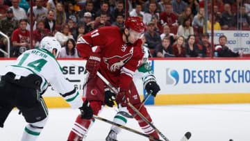GLENDALE, AZ - NOVEMBER 11: Martin Hanzal