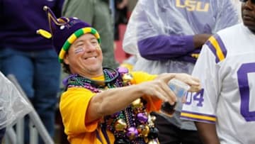 Jan 1, 2014; Tampa, Fl, USA; LSU Tigers fan in the stands against the Iowa Hawkeyes during the second half at Raymond James Stadium. LSU Tigers defeated the Iowa Hawkeyes 21-14. Mandatory Credit: Kim Klement-USA TODAY Sports