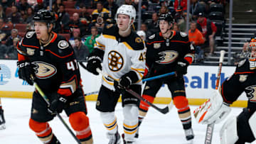ANAHEIM, CA - FEBRUARY 15: Danton Heinen #43 of the Boston Bruins battles for position against Hampus Lindholm #47 and Josh Manson #42 of the Anaheim Ducks during the game on February 15, 2019 at Honda Center in Anaheim, California. (Photo by Debora Robinson/NHLI via Getty Images)