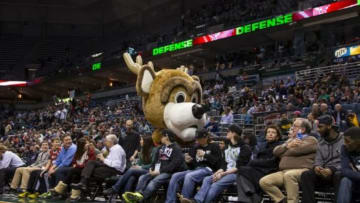 Feb 18, 2014; Milwaukee, WI, USA; Milwaukee Bucks mascot Bango during the game against the Orlando Magic at BMO Harris Bradley Center. Milwaukee won 104-100. Mandatory Credit: Jeff Hanisch-USA TODAY Sports