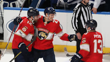 SUNRISE, FL - NOVEMBER 22: Nick Bjugstad