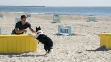 Pictured: Mark LeBlanc & Ace. The Pack - Episode 101 - "Los Angeles" Credit: Ali Goldstein/Amazon