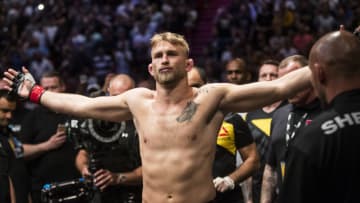 Alexander Gustafsson (Photo by Michael Campanella/Getty Images)
