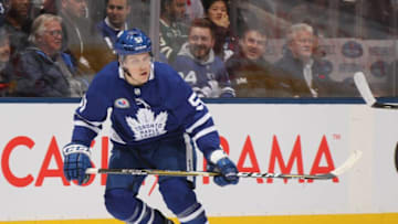 TORONTO, ONTARIO - NOVEMBER 09: Jake Gardiner #51 of the Toronto Maple Leafs skates against the New Jersey Devils at the Scotiabank Arena on November 09, 2018 in Toronto, Ontario, Canada. The Leafs defeated the Devils 6-1. (Photo by Bruce Bennett/Getty Images)
