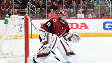 GLENDALE, AZ - JANUARY 16: Darcy Kuemper #35 of the Arizona Coyotes looks to make a save against the San Jose Sharks at Gila River Arena on January 16, 2019 in Glendale, Arizona. (Photo by Norm Hall/NHLI via Getty Images)