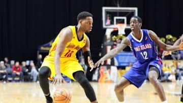 Jordan Loyd of the Fort Wayne Mad Ants takes on the Long Island Nets.