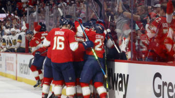 Florida Panthers (Photo by Joel Auerbach/Getty Images)