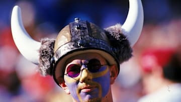12 Nov 1995: A view of a Minnesota Vikings fan as he wears a viking hat during a game against the Arizona Cardinals at the Sun Devil Stadium in Tempe, Arizona. The Vikings defeated the Cardinals 34-28. Mandatory Credit: Stephen Dunn /Allsport