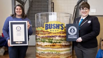 BUSH'S Beans 70 layer bean dip, photo provided by BUSH'S Beans