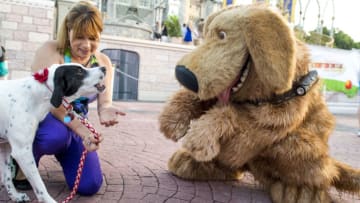 LAKE BUENA VISTA, FL - AUGUST 30: In this handout photo provided by Disney Parks, Mejay Aguerre and her dog "Lily" meet the Disney-Pixar canine character "Dug" at the Magic Kingdom at Walt Disney World Resort August 30, 2014 in Lake Buena Vista, Florida. Lily was one of 101 dogs invited to the Magic Kingdom today for "Disney Side Dog's Day." The event will be featured on an Animal Planet network TV special that will air Oct. 18, 2014. (Photo by Chloe Rice/Disney Parks via Getty Images)