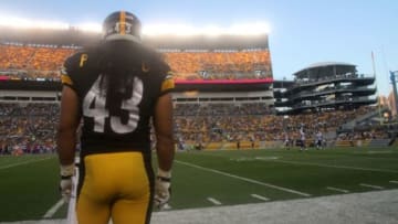 Aug 16, 2014; Pittsburgh, PA, USA; Pittsburgh Steelers safety Troy Polamalu (43) stands on the sidelines prior to the game against the Buffalo Bills at Heinz Field. The Steelers won 19-16. Mandatory Credit: Jason Bridge-USA TODAY Sports