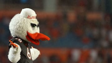 MIAMI GARDENS, FL - NOVEMBER 09: Sebastian, the Miami Hurricanes mascot cheers during a game against the Virginia Tech Hokies at Sun Life Stadium on November 9, 2013 in Miami Gardens, Florida. (Photo by Mike Ehrmann/Getty Images)