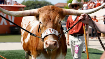 Texas Football (Photo by Tim Warner/Getty Images)