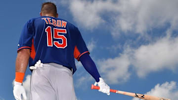 Sep 20, 2016; Port St. Lucie, FL, USA; New York Mets outfielder Tim Tebow (15) looks on during his workout at the Mets Minor League Complex. Mandatory Credit: Jasen Vinlove-USA TODAY Sports