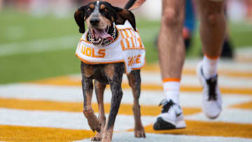 KNOXVILLE, TN - SEPTEMBER 09: Tennessee mascot Smokey runs across the end zone after a touchdown during a game between the Indiana State Sycamores and Tennessee Volunteers on September 9, 2017, at Neyland Stadium in Knoxville, TN. (Photo by Bryan Lynn/Icon Sportswire via Getty Images)
