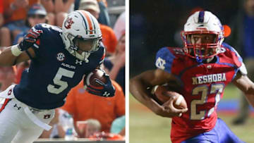 Auburn football (Mandatory Credit: The Montgomery Advertiser)