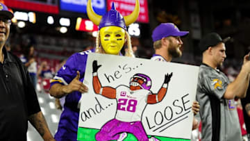 Dec 10, 2015; Glendale, AZ, USA; A Minnesota Vikings fan looks on prior to the game against the Arizona Cardinals at University of Phoenix Stadium. Mandatory Credit: Matt Kartozian-USA TODAY Sports
