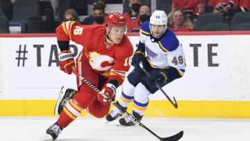 St. Louis BluesMandatory Credit: Candice Ward-USA TODAY Sports