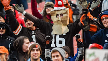 Dec 24, 2016; Cleveland, OH, USA; A bagged Cleveland Browns fan during the second half at FirstEnergy Stadium. The Browns won 20-17. Mandatory Credit: Ken Blaze-USA TODAY Sports