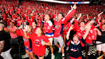 Washington Capitals Mandatory Credit: Brad Mills-USA TODAY Sports