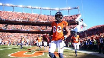 January 19, 2014; Denver, CO, USA; Denver Broncos wide receiver Demaryius Thomas (88) celebrates after he catches a touchdown pass against the New England Patriots in the second half of the 2013 AFC Championship football game at Sports Authority Field at Mile High. Mandatory Credit: Mark J. Rebilas-USA TODAY Sports