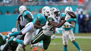 Quincy Enunwa #81 of the New York Jets (Photo by Mark Brown/Getty Images)