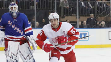 NEW YORK, NEW YORK - MARCH 19: Taro Hirose #53 of the Detroit Red Wings skates in his first NHL game against the New York Rangers at Madison Square Garden on March 19, 2019 in New York City. The Red Wings defeated the Rangers 3-2. (Photo by Bruce Bennett/Getty Images)