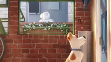 Photo Credit: The Secret Life of Pets/Universal & Illumination Entertainment Image Acquired from Universal Pictures