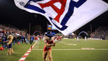 Arizona Wildcats mascot Wilbur Wildcat. (Kirby Lee/Image of Sport-USA TODAY Sports)