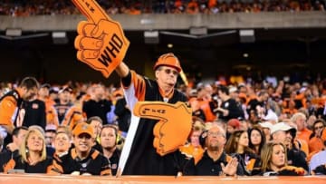Sep 16, 2013; Cincinnati, OH, USA; Cincinnati Bengals fans celebrates after a touchdown during the fourth quarter against the Pittsburgh Steelers at Paul Brown Stadium. Mandatory Credit: Andrew Weber-USA TODAY Sports