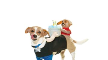 Petco’s Halloween “Bootique” offerings. Image courtesy Petco