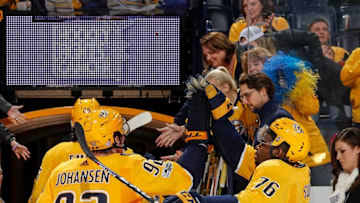 NASHVILLE, TN - NOVEMBER 18: P.K. Subban