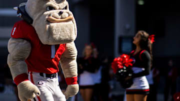 JACKSONVILLE, FLORIDA - OCTOBER 30: Hairy Dawg mascot of the Georgia Bulldogs looks on before a game between the Florida Gators and the Georgia Bulldogs at TIAA Bank Field on October 30, 2021 in Jacksonville, Florida. (Photo by James Gilbert/Getty Images)