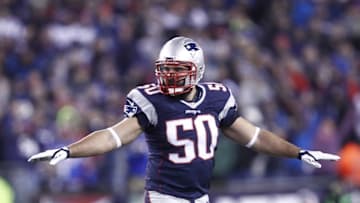 Nov 23, 2015; Foxborough, MA, USA; New England Patriots defensive end Rob Ninkovich (50) celebrates after a missed field goal by the Buffalo Bills during the first half at Gillette Stadium. Mandatory Credit: Mark L. Baer-USA TODAY Sports