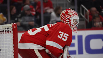 Ville Husso #35, Detroit Red Wings (Photo by Gregory Shamus/Getty Images)