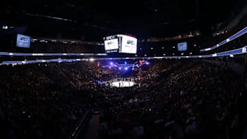 A general view of the Octagon (Photo by Rey Del Rio/Getty Images)