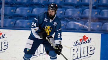 PLYMOUTH, MI - FEBRUARY 15: Kaapo Kakko #24 of the Finland Nationals controls the puck against the Sweden Nationals during the 2018 Under-18 Five Nations Tournament game at USA Hockey Arena on February 15, 2018 in Plymouth, Michigan. Finland defeated Sweden 5-3. (Photo by Dave Reginek/Getty Images)*** Local Caption *** Kaapo Kakko