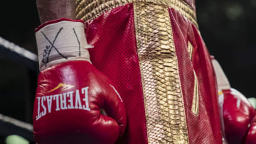 BALTIMORE, MD - JULY 27: A detailed view of the glove of Ladarius Miller as he stands in the corner during a break in action during the tenth round of his lightweight fight against Jezzrel Corrales at Royal Farms Arena on July 27, 2019 in Baltimore, Maryland. (Photo by Scott Taetsch/Getty Images)